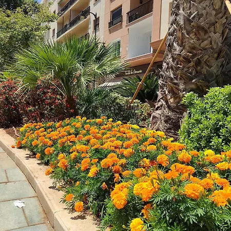 Edificio Jardin דירה *
